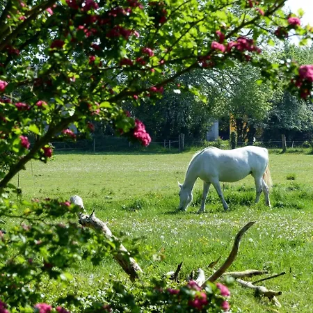 Apartment 5places Le Pre Sale Avec Jardin Proche Mont Saint Michel *