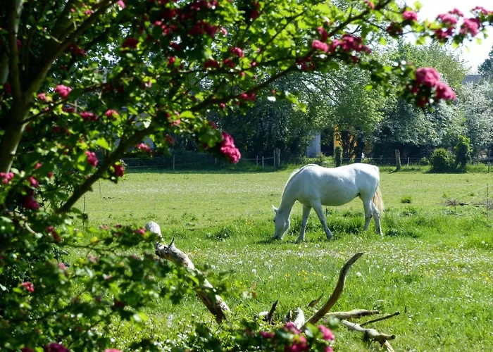 Apartment 5places Le Pre Sale Avec Jardin Proche Mont Saint Michel *